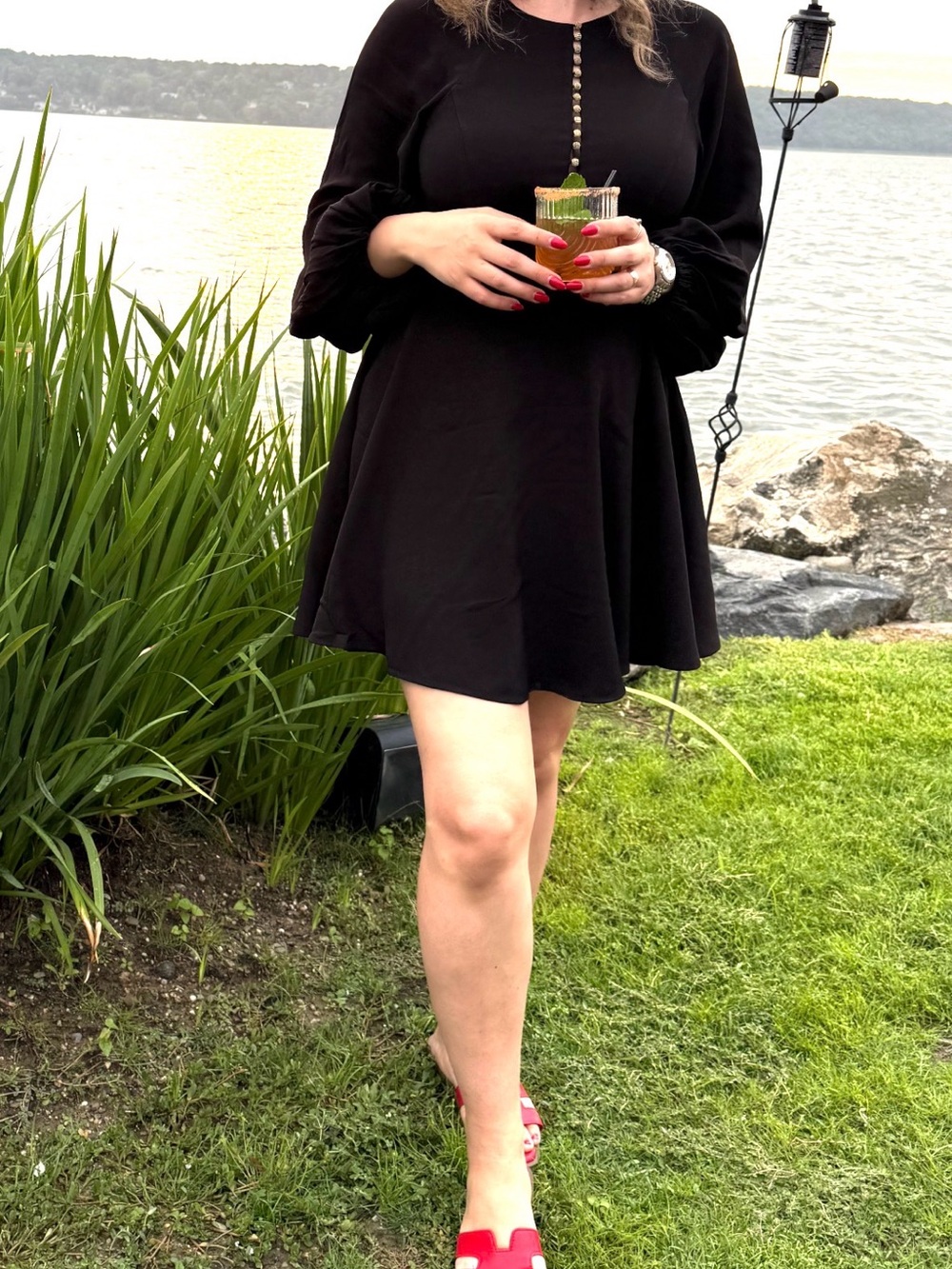Zimmermann Black Long-Sleeve Button Detail Fit-and-Flare Dress
